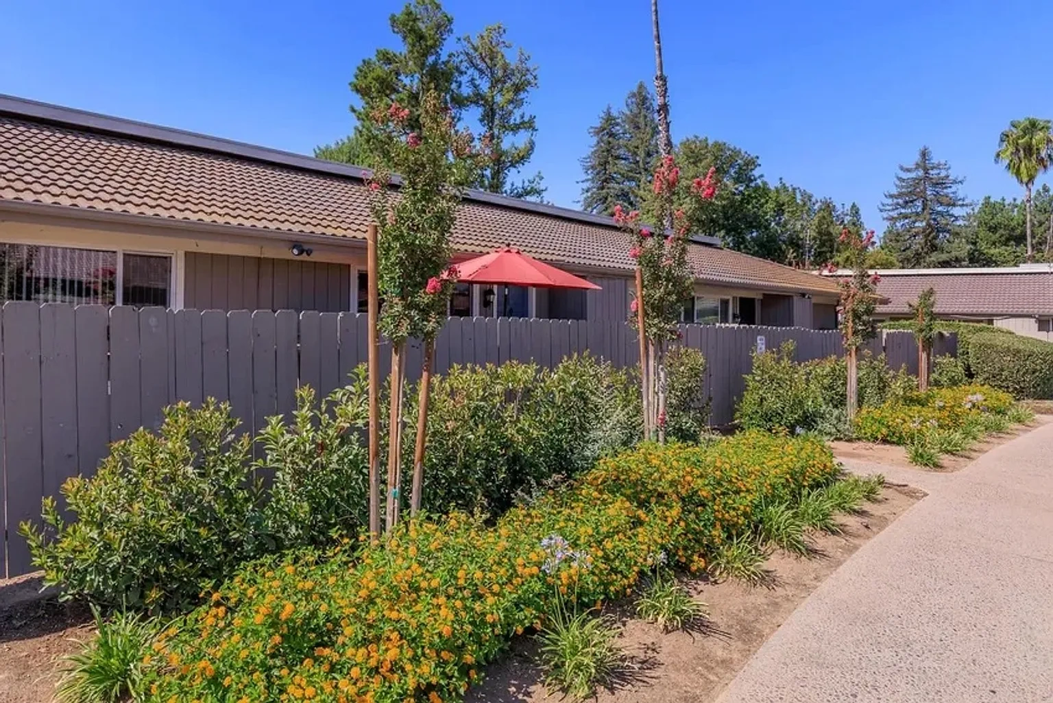 Monterey Pines – photo 5