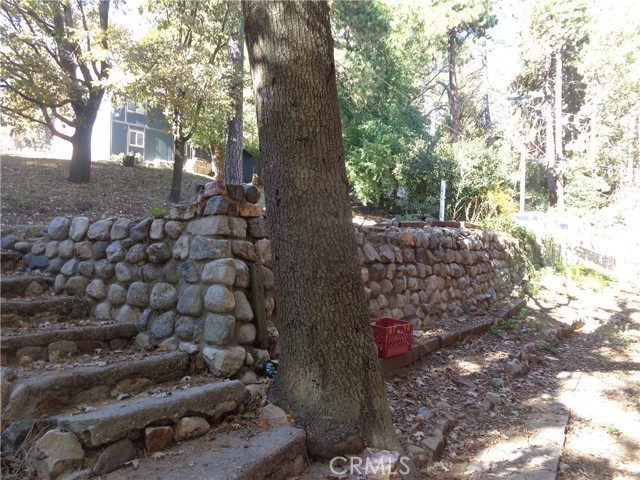 1021 Coulter Pine Rd – photo 2