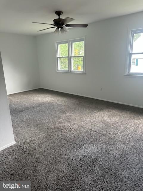 319 Runnymede Ave – photo 5