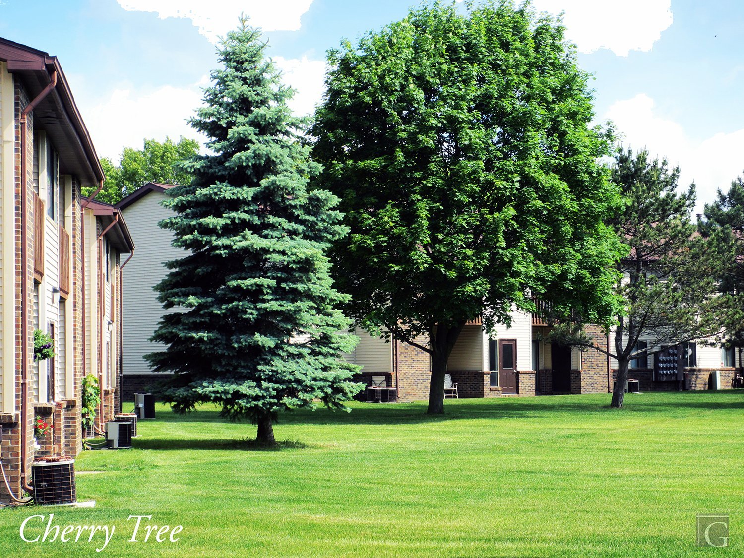 49 Cherry Tree Ln – photo 4