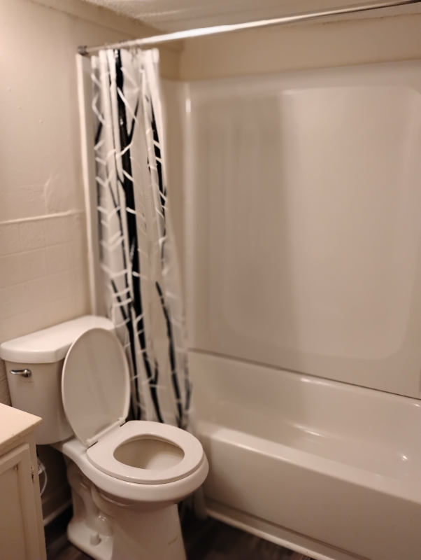 123 Lucille Rd – photo 5