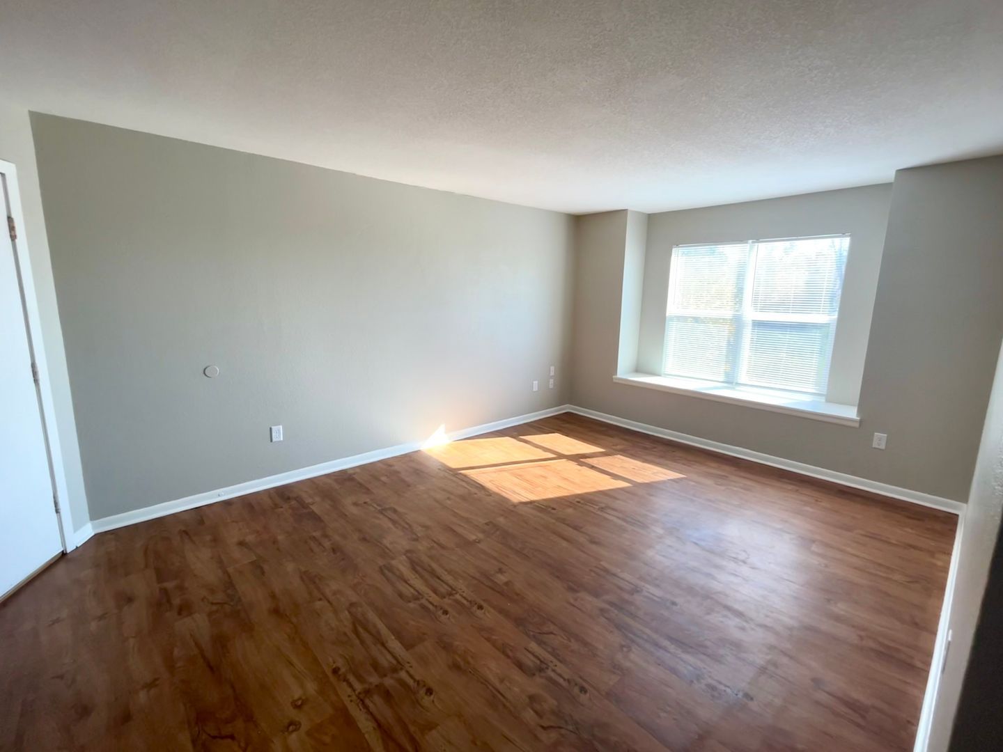 901 Hackberry St – photo 4