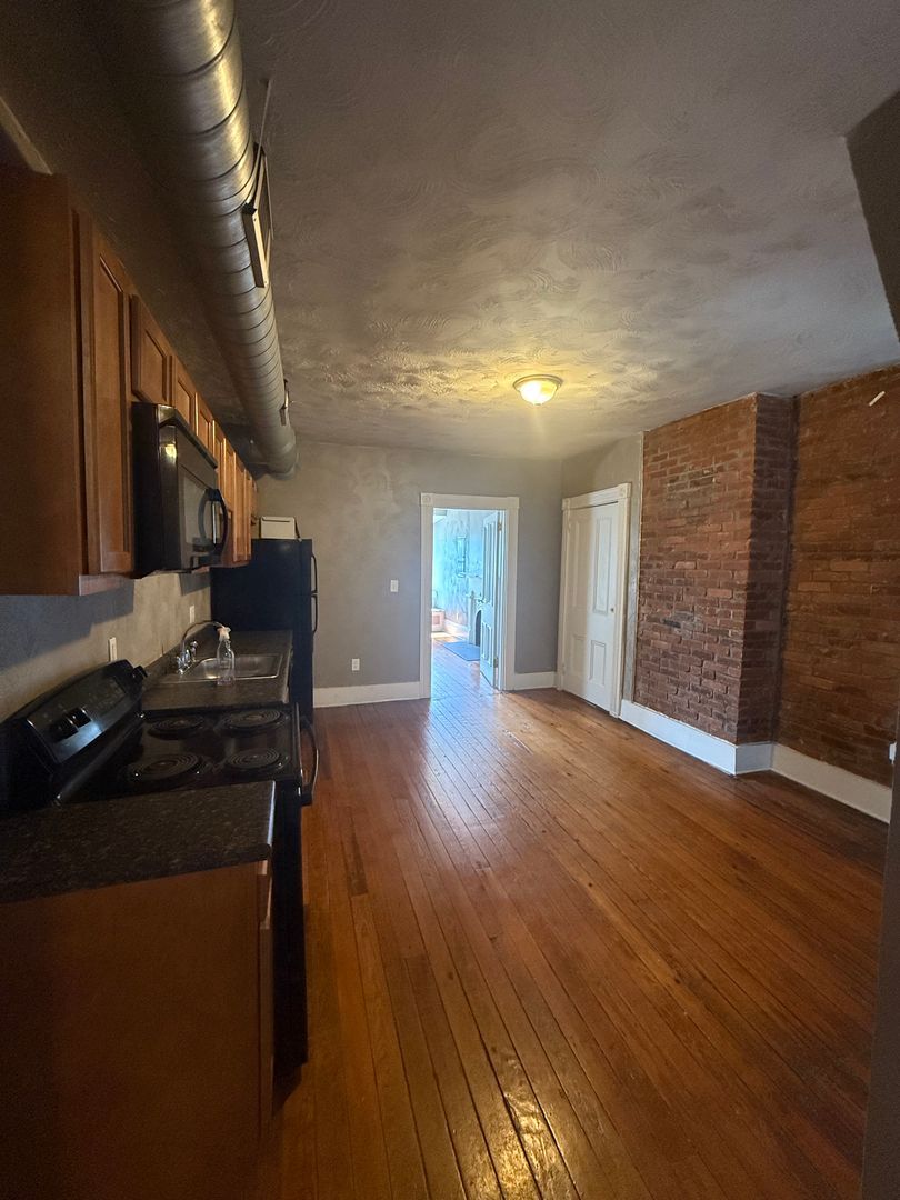 1608 Lowrie St unit #3 – photo 4