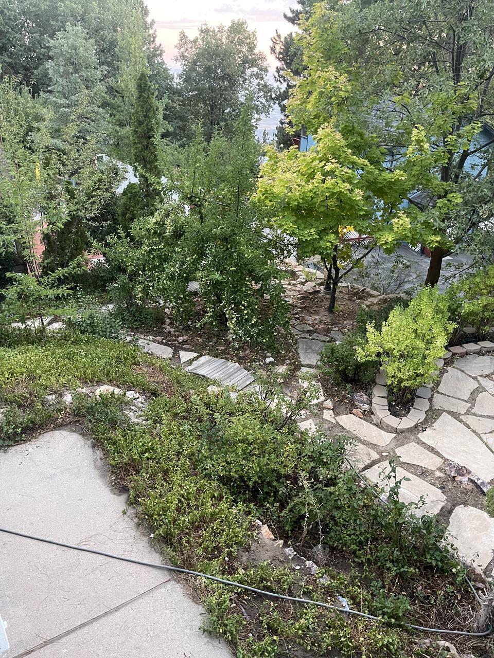 31379 Lightfoot Way – photo 5