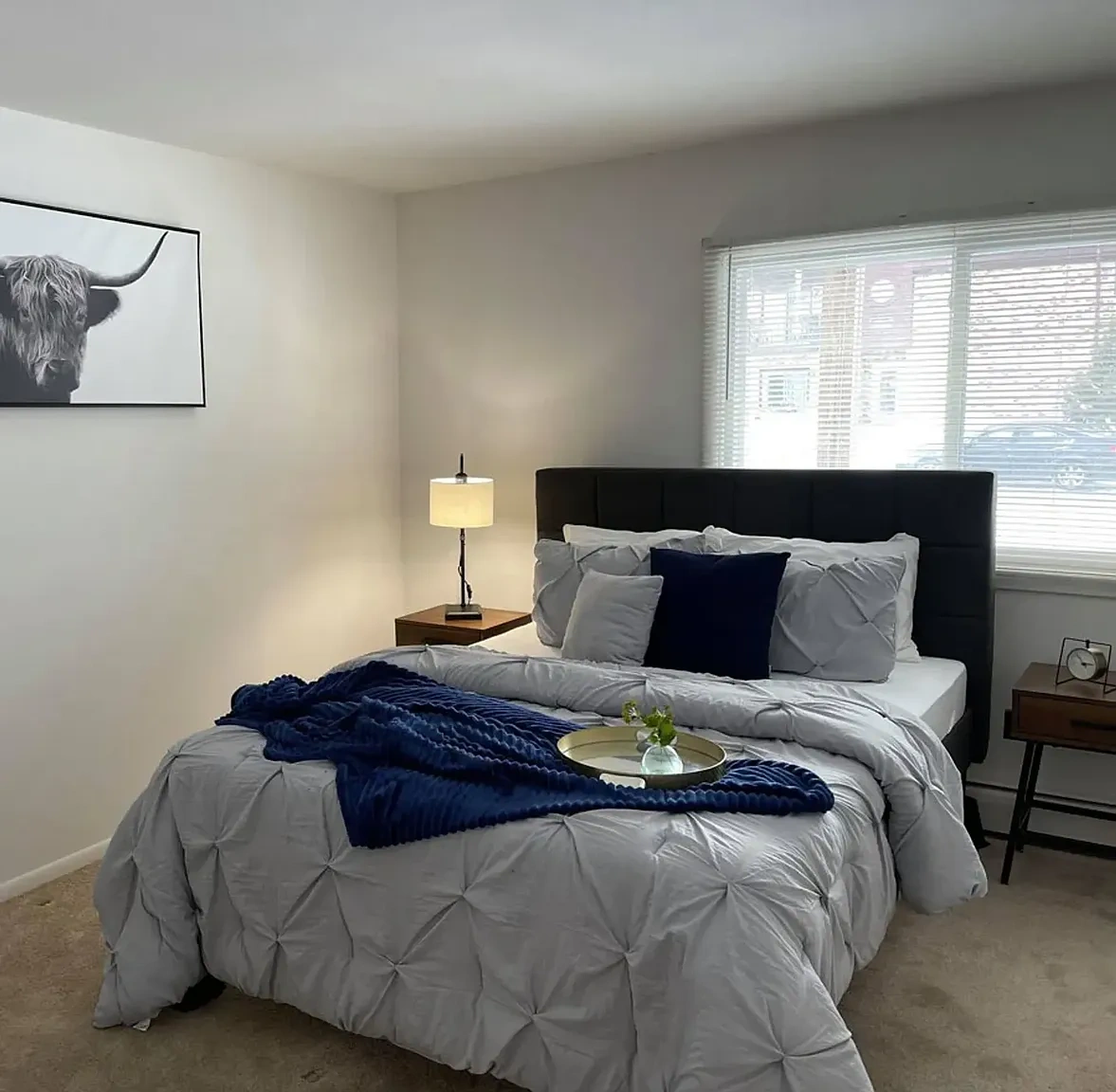 Springtree Apartments – photo 3