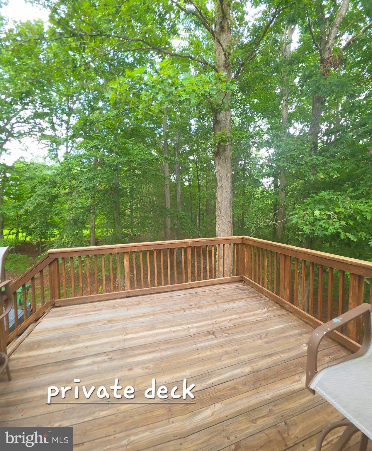39000 Tanglewood Ct #1 – photo 2