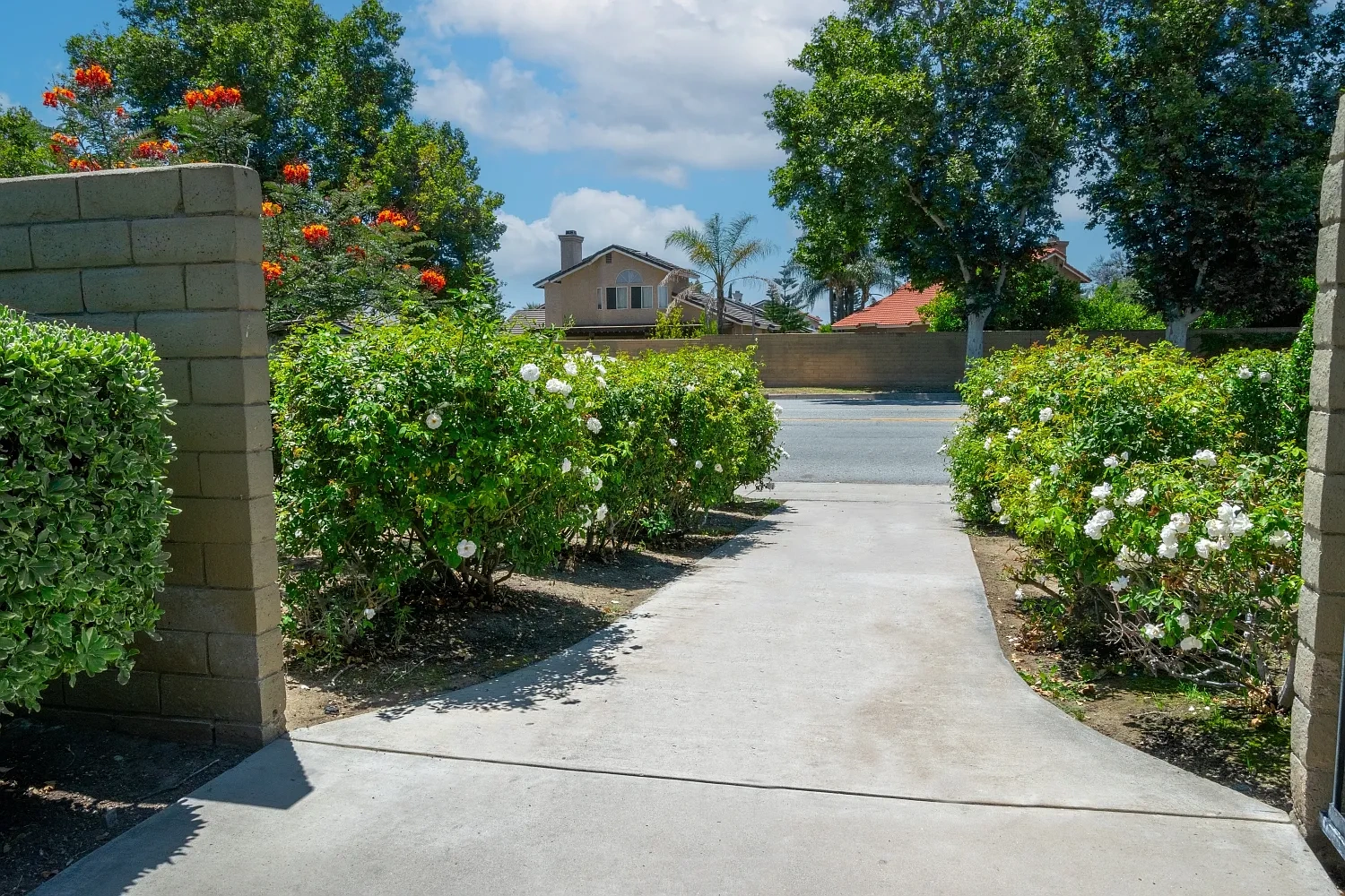 Vista View Apartments – photo 3