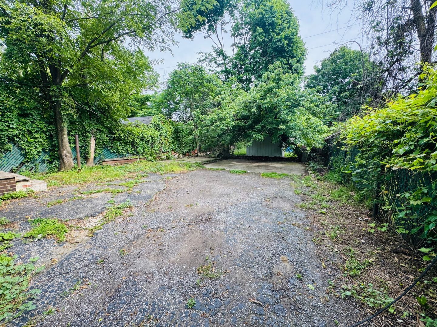 10630 Kimberly Ave – photo 5