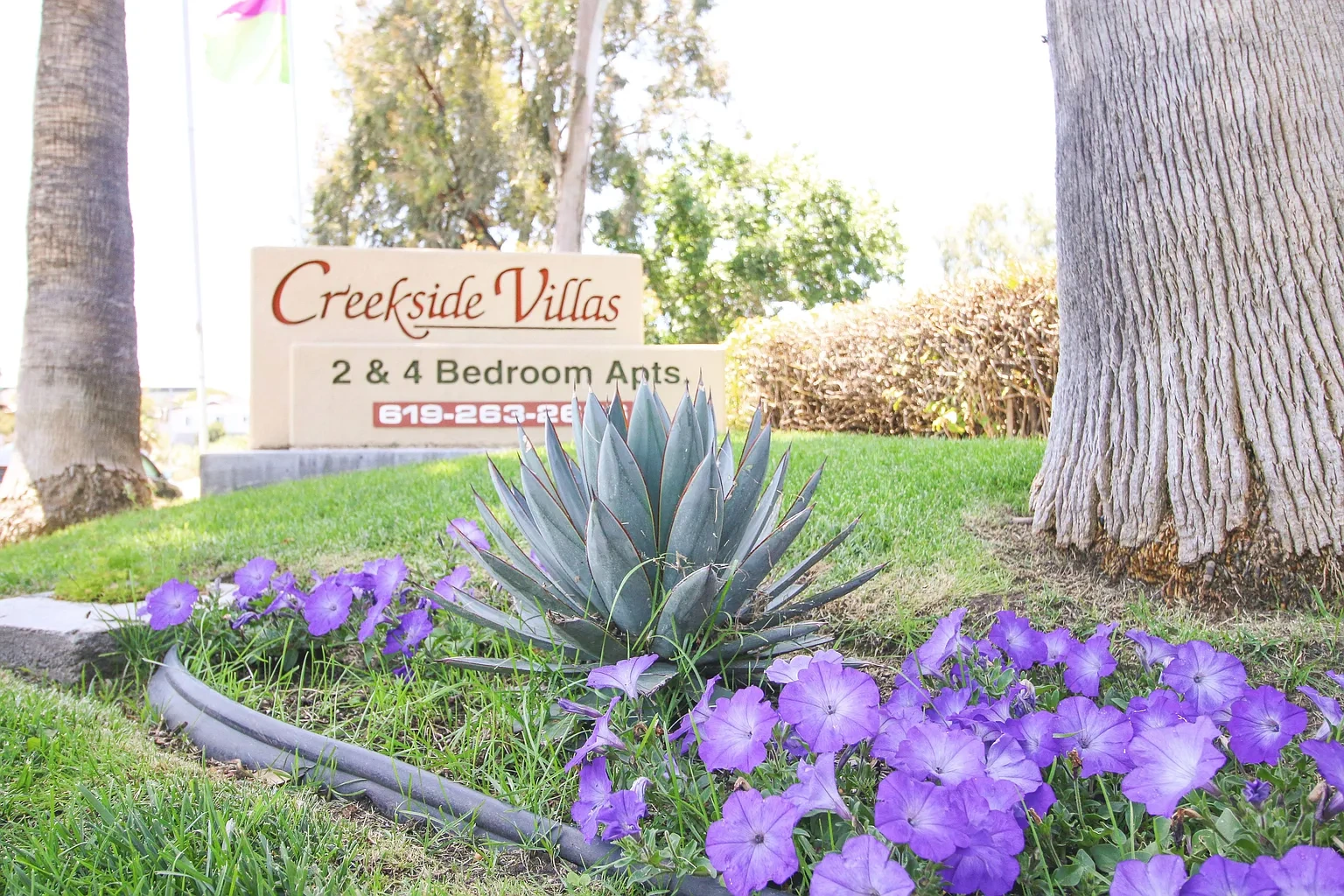 Creekside Villas Apartments – photo 2