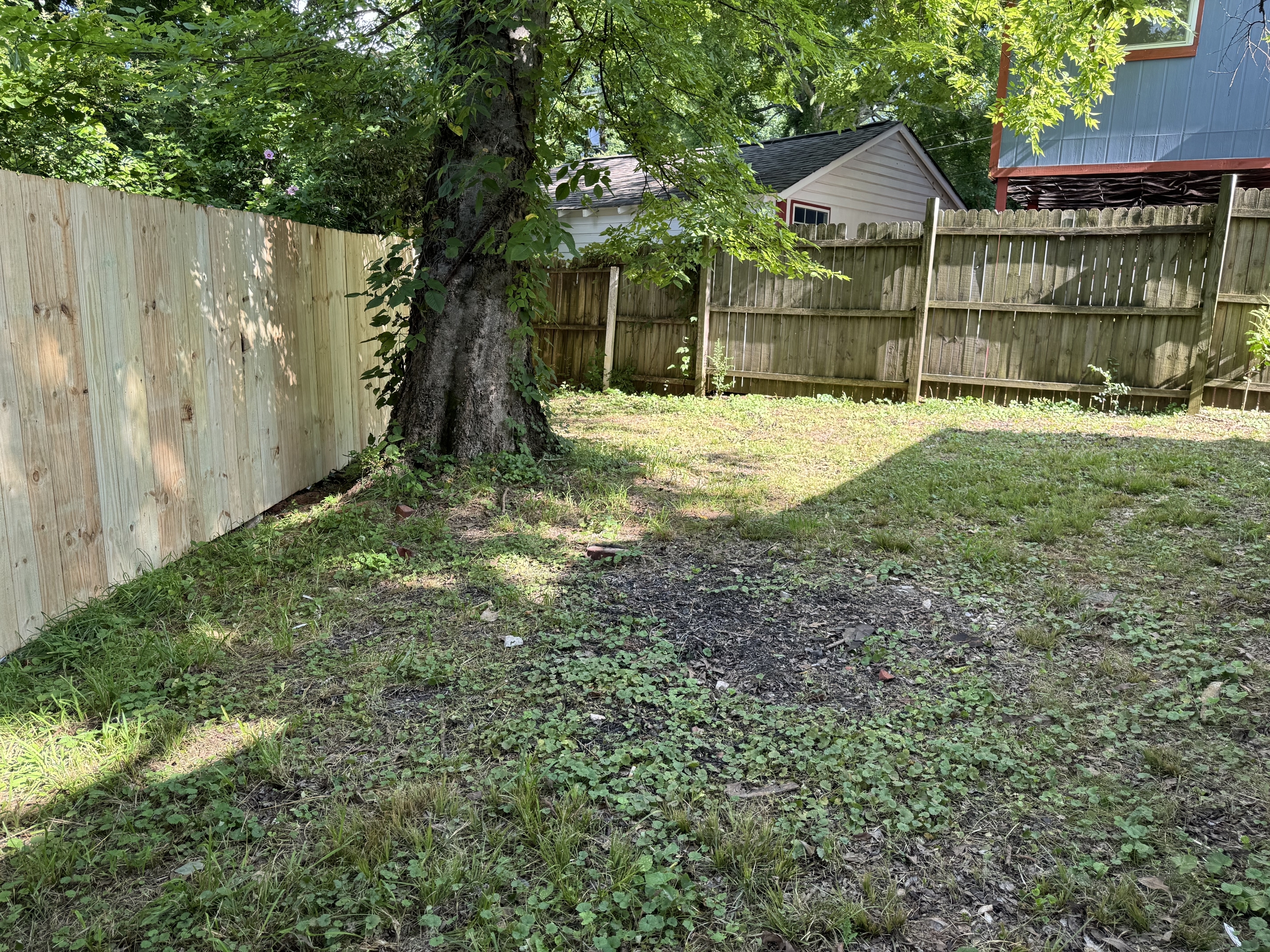 1249 Waverly St – photo 4