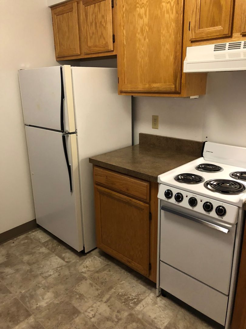 218 Chestnut St unit 212 – photo 4