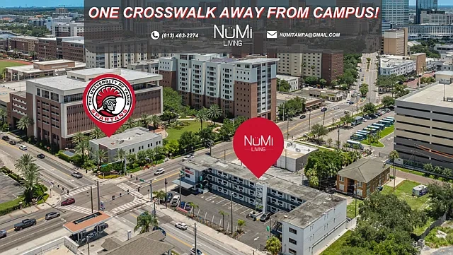 NuMi Living Tampa – photo 3
