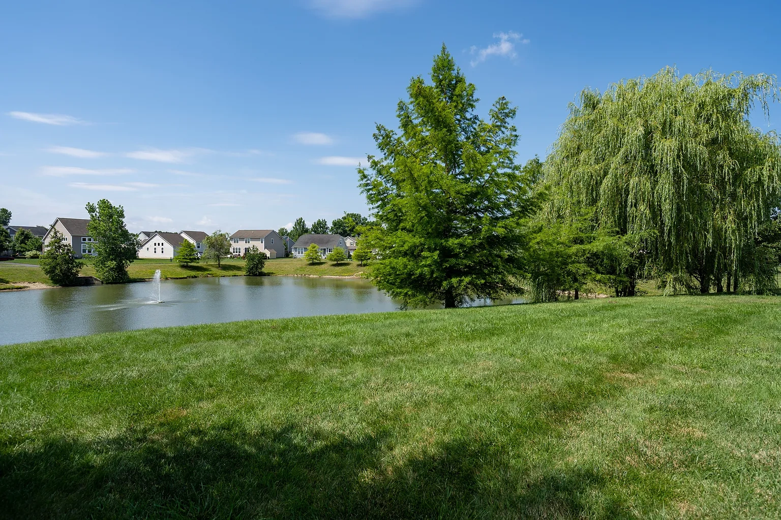 Carson Farms – photo 2