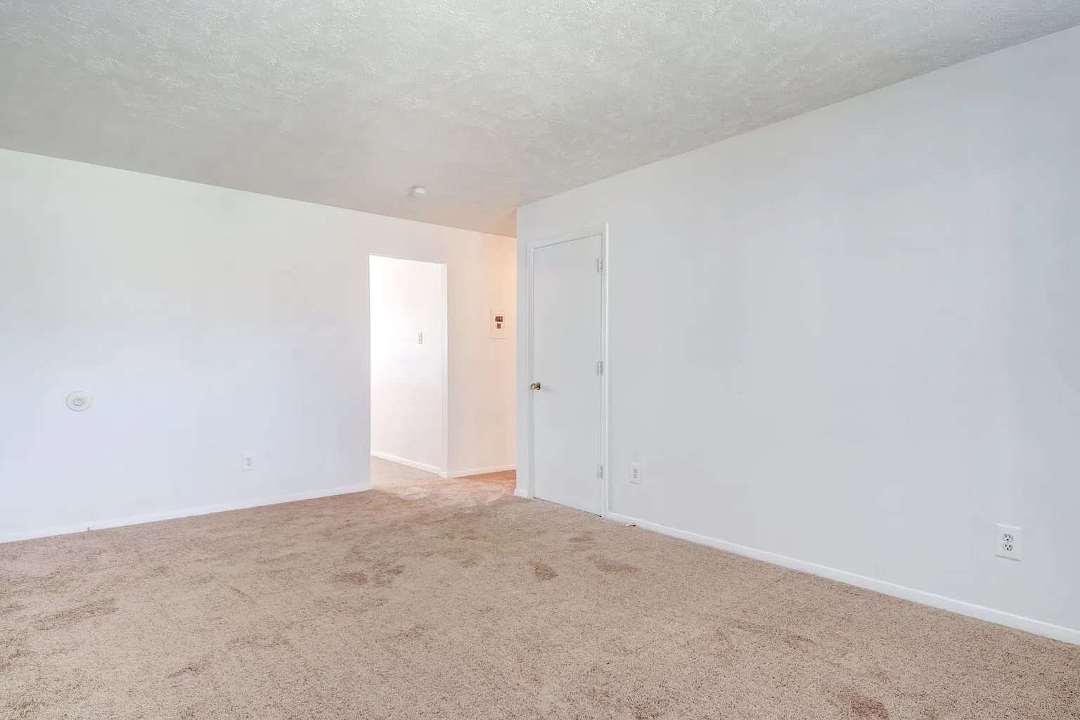 Arcadia Apartments – photo 2