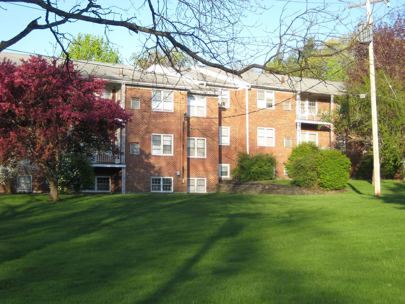Park Hill Lane Apartments – photo 4