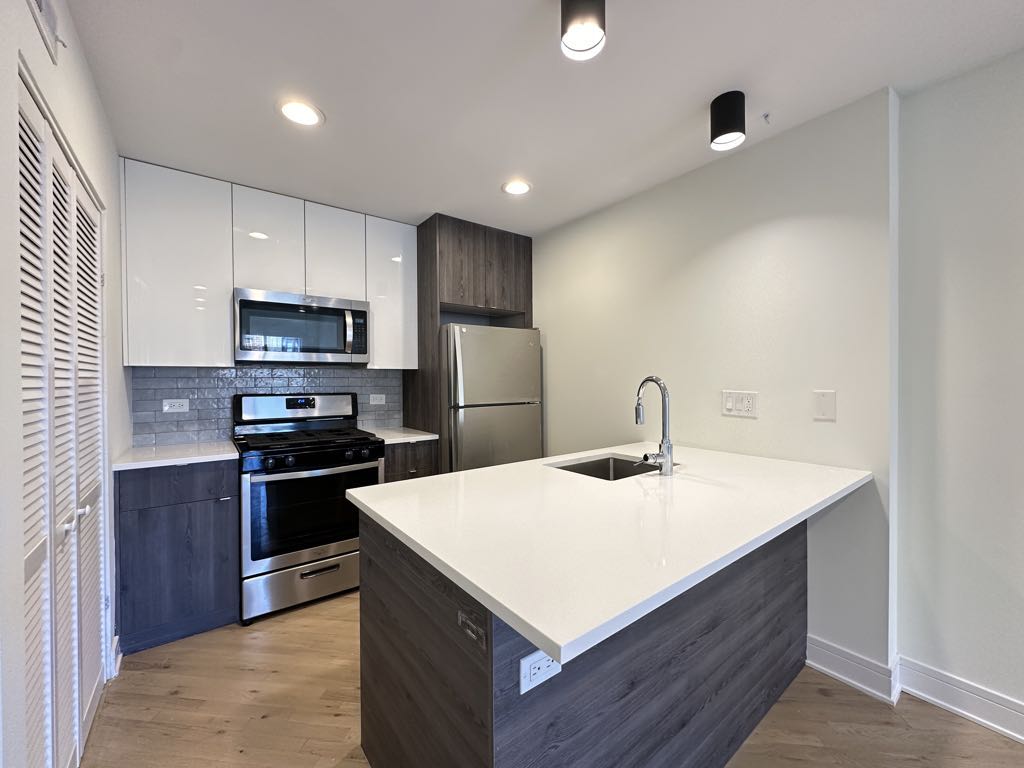 949 W Grace St unit 202J – photo 2