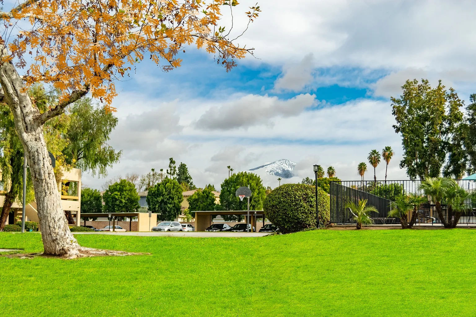 Rivera Apartments – photo 2