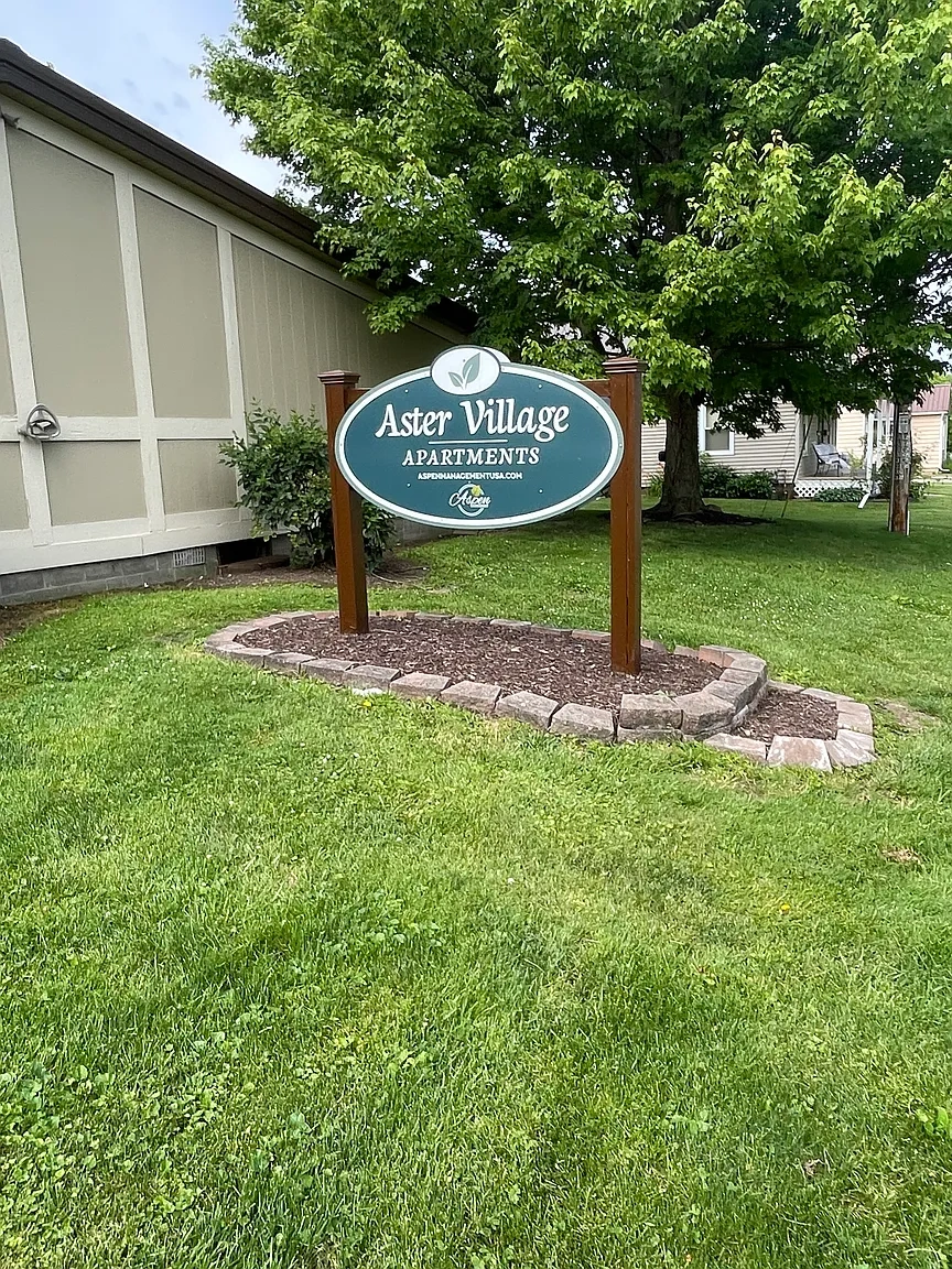 Aster Village – photo 3