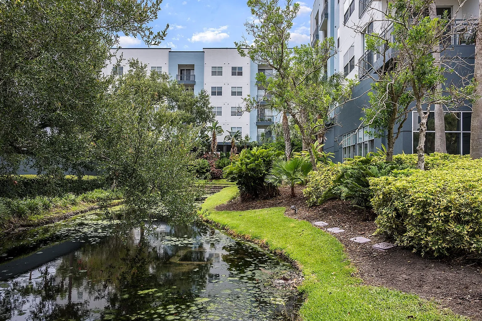 Mosaic Westshore Apartments – photo 4