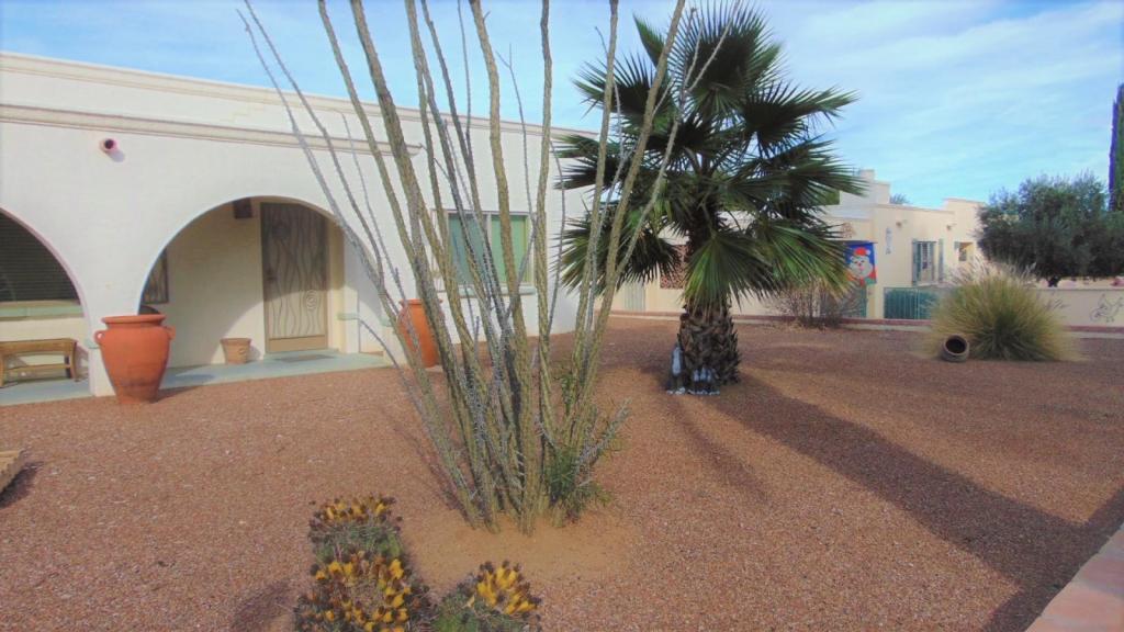 161 E El Valle – photo 1