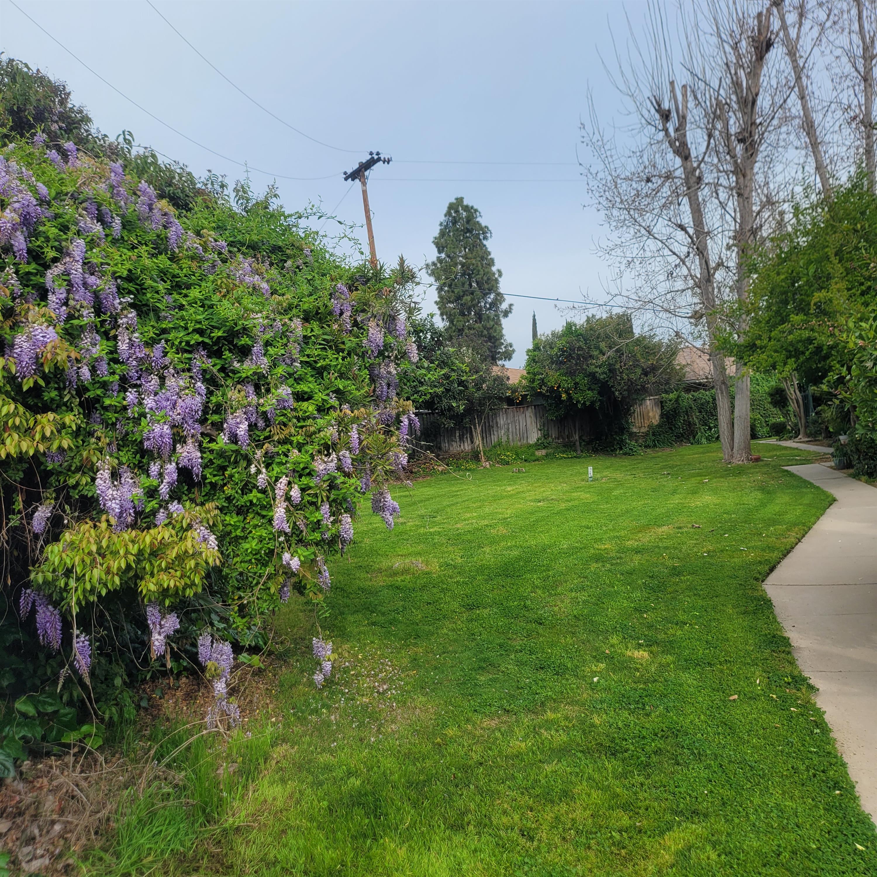 1730 W Shaw Ave – photo 4