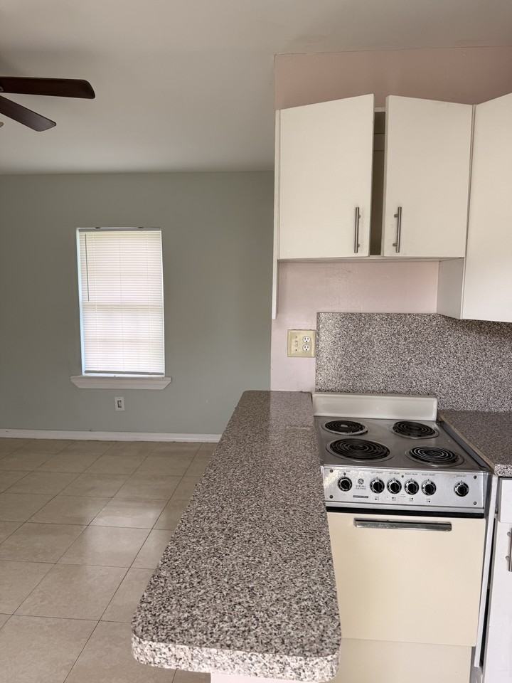 505 Foresteria Dr unit 1 – photo 1