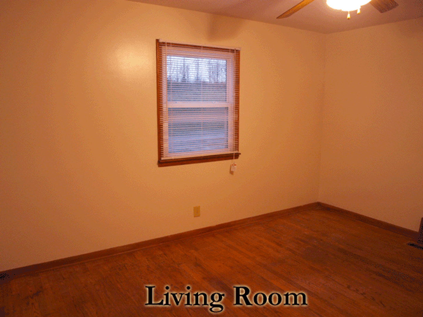 310 Friendship Dr – photo 5