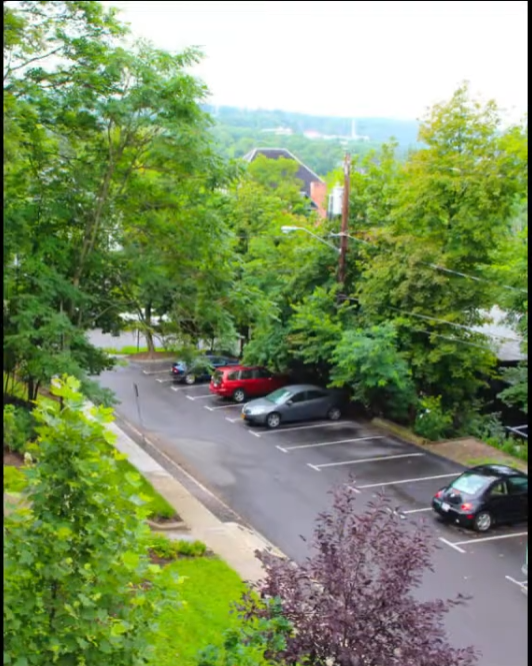 105 Dewitt Pl unit 1 – photo 2