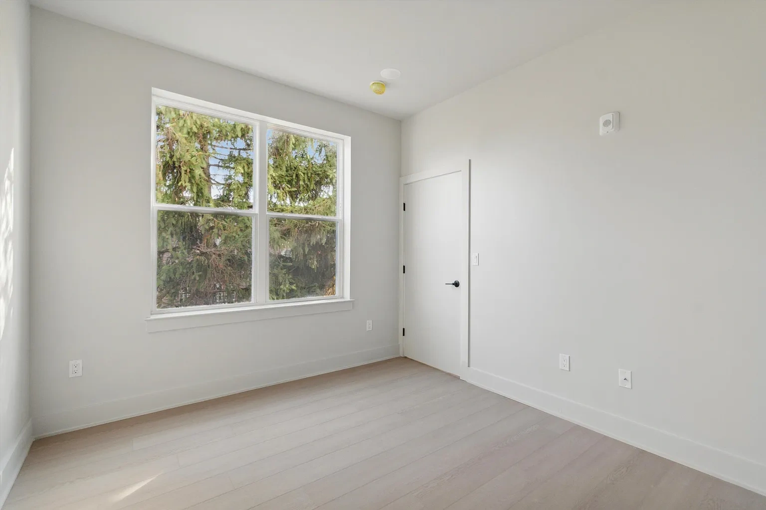 The Grove – Floor plan