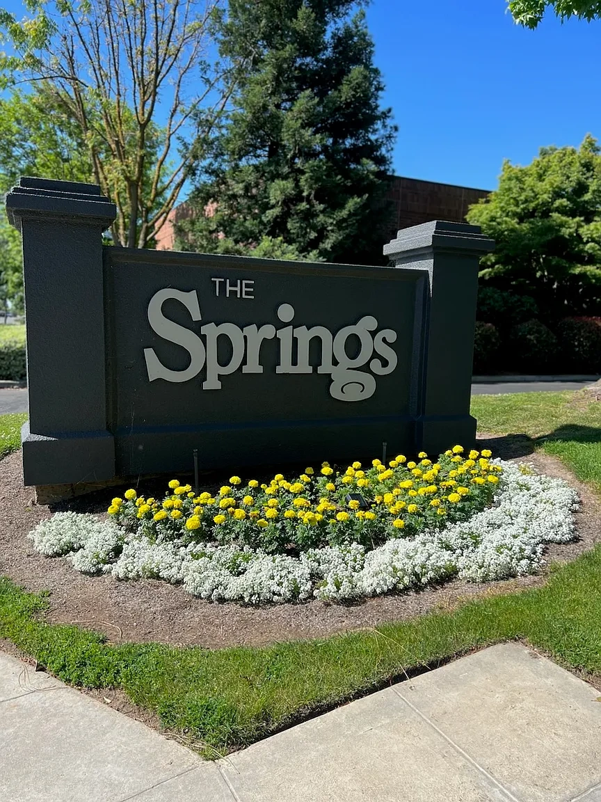 The Springs – photo 2