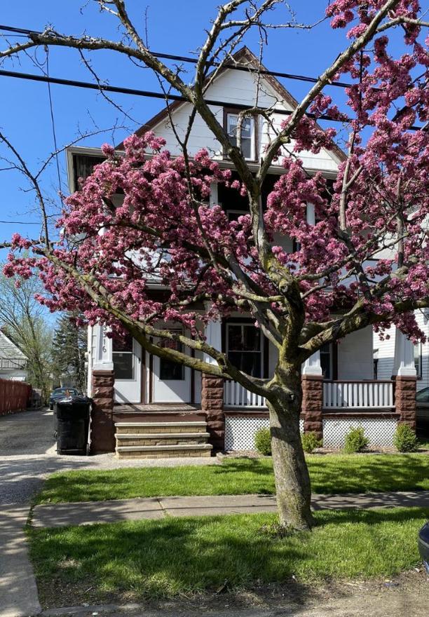 3316 Montclair Ave – photo 1