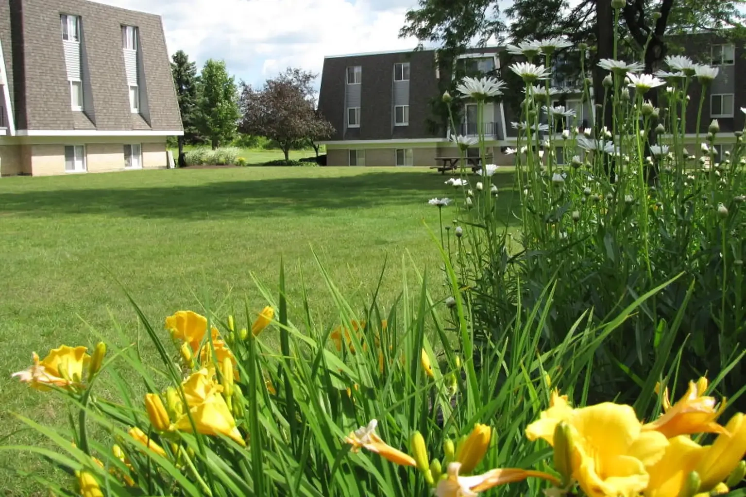 The Meadows of Boardman – photo 2