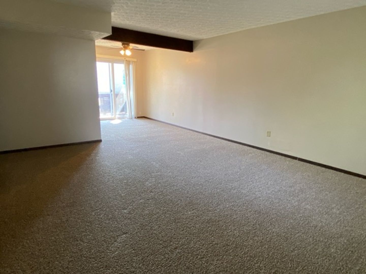 538 Vandalia St unit 3 – photo 2