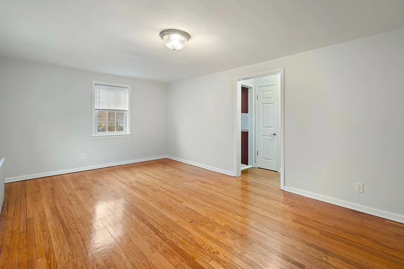 263 Bloomfield Avenue Apartments – photo 4