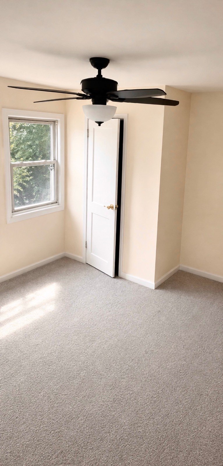 35 Millers Ln #35B – photo 5