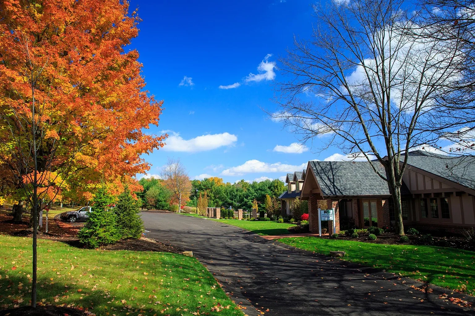 Hickory Hills – photo 2