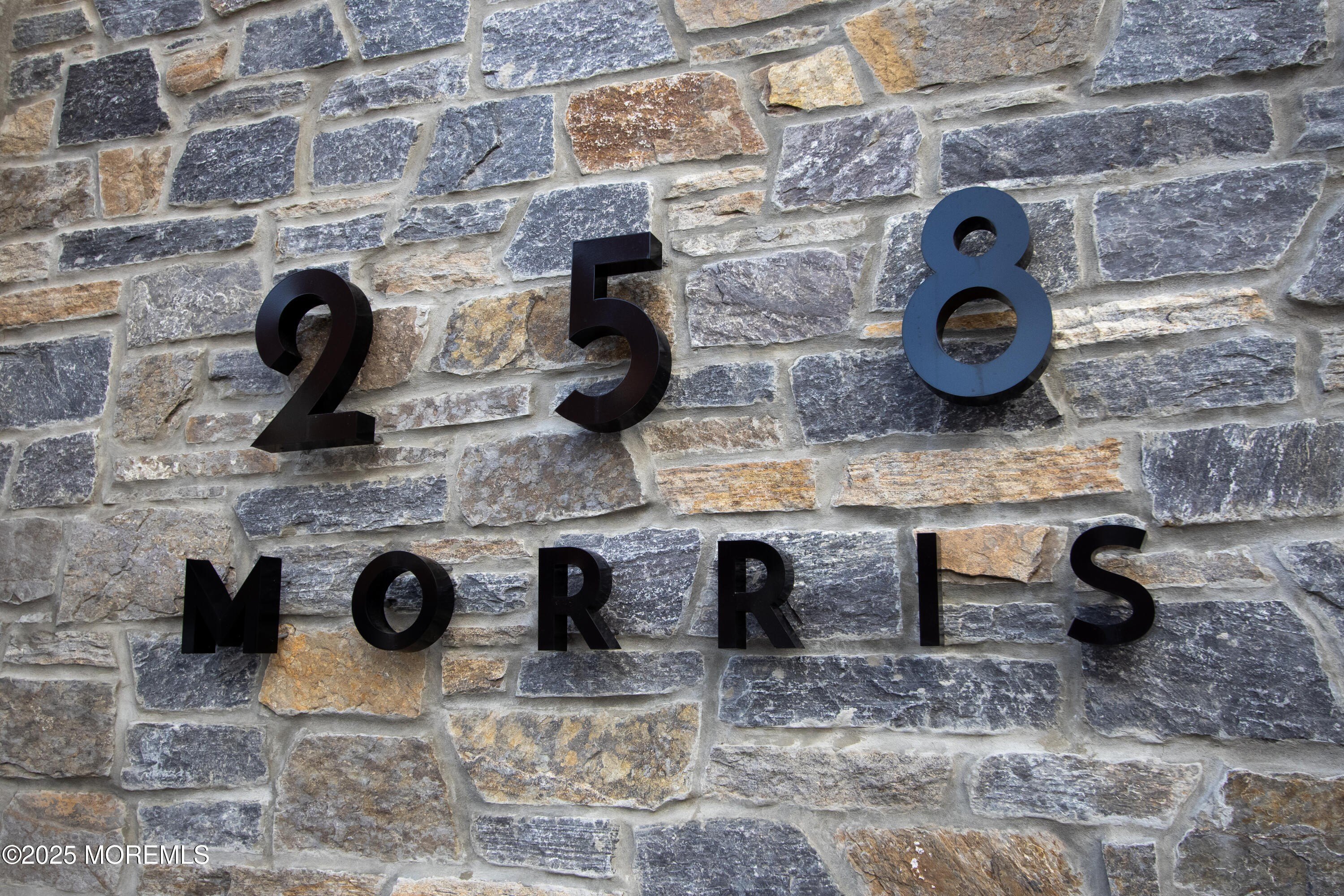 258 Morris Ave #314 – photo 1