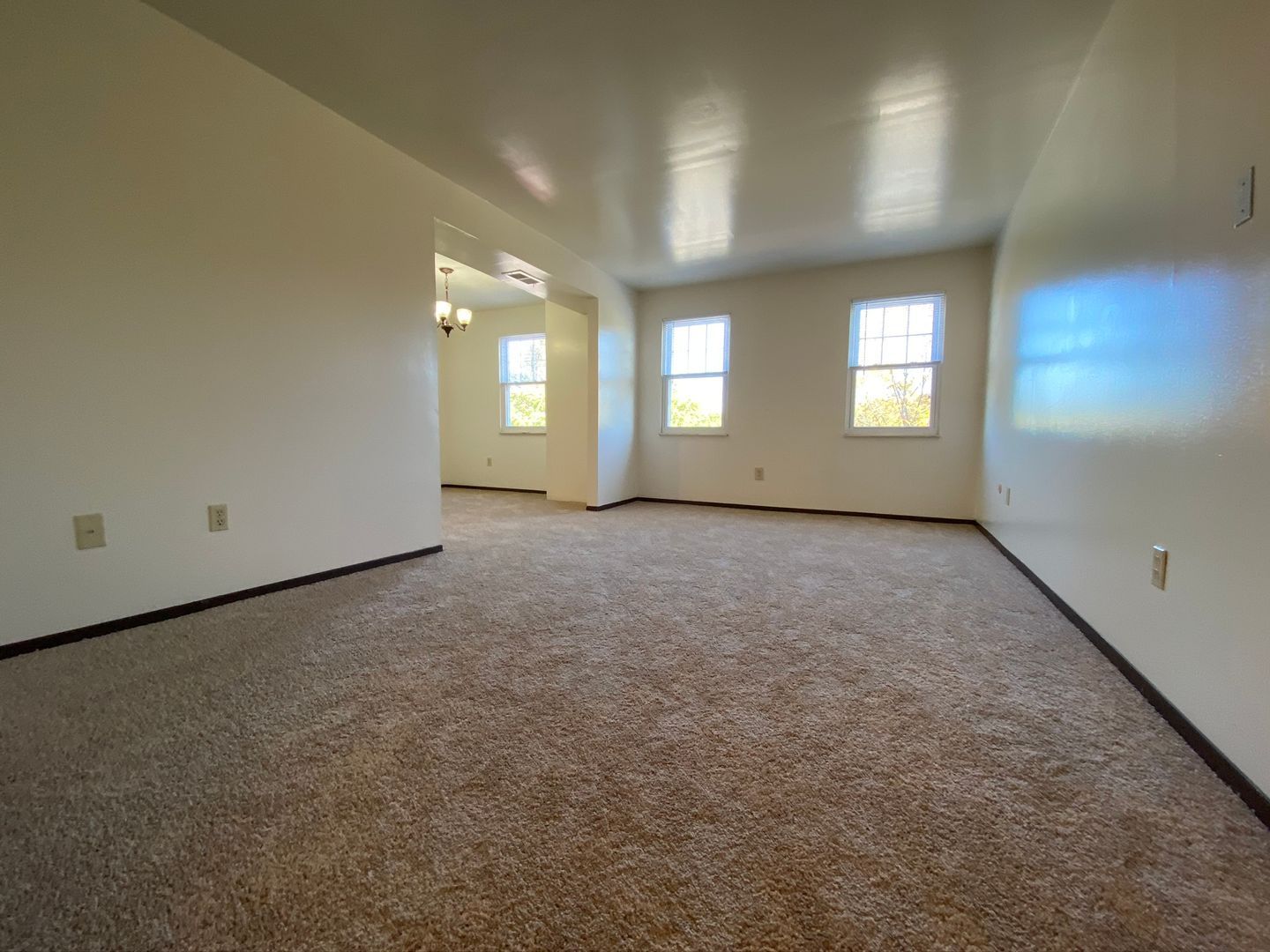 506 Bellwood Dr unit 506 – photo 2