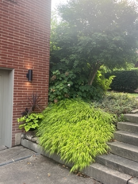 6425 Wilkins Ave – photo 2