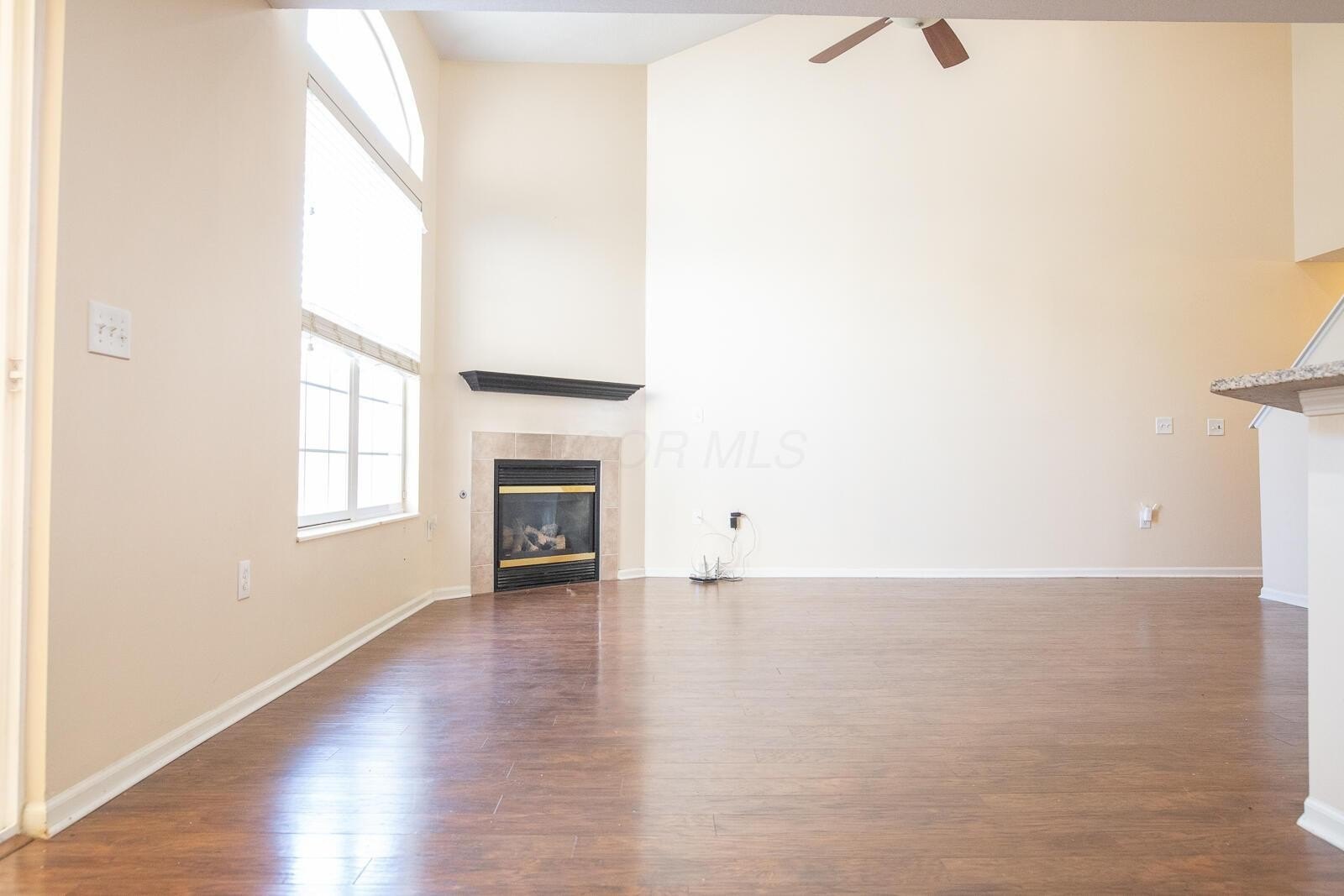 5036 Ivyvine Blvd – photo 3