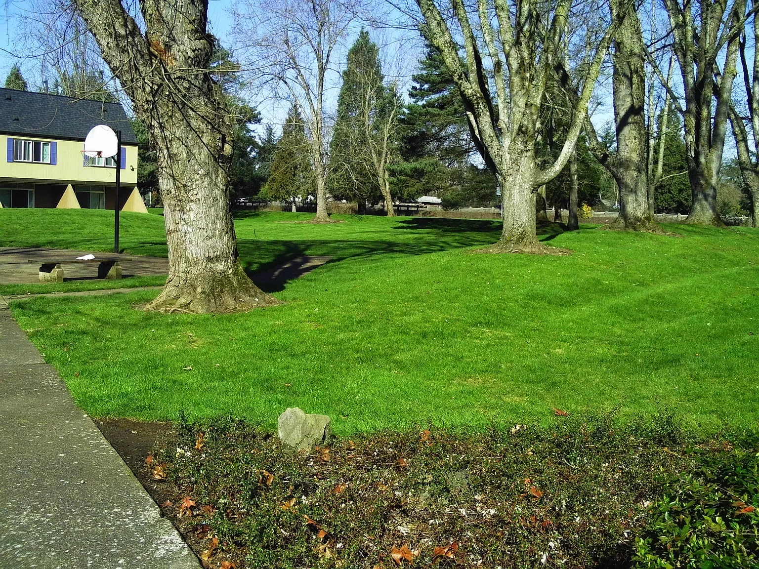 Firwood Village – photo 5