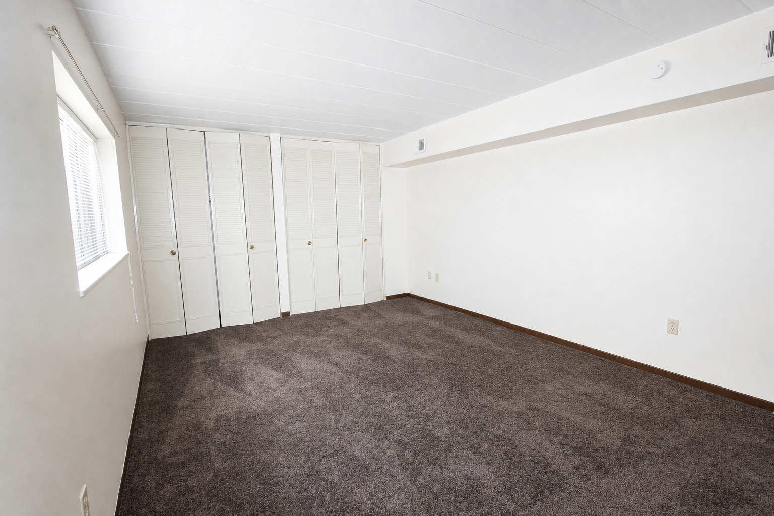 501 Mifflin Ave unit 2 – photo 5