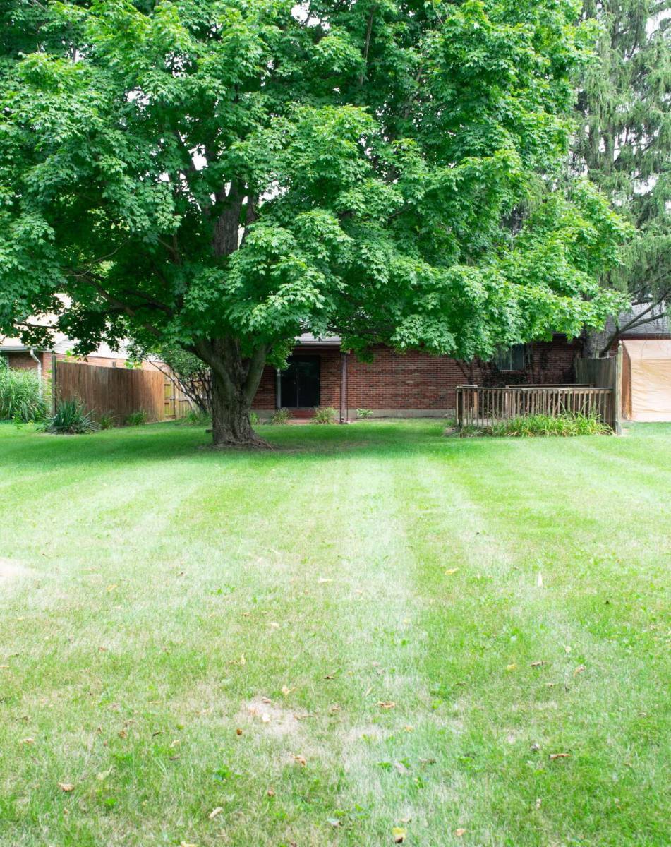 3160 Honeysuckle Dr – photo 3