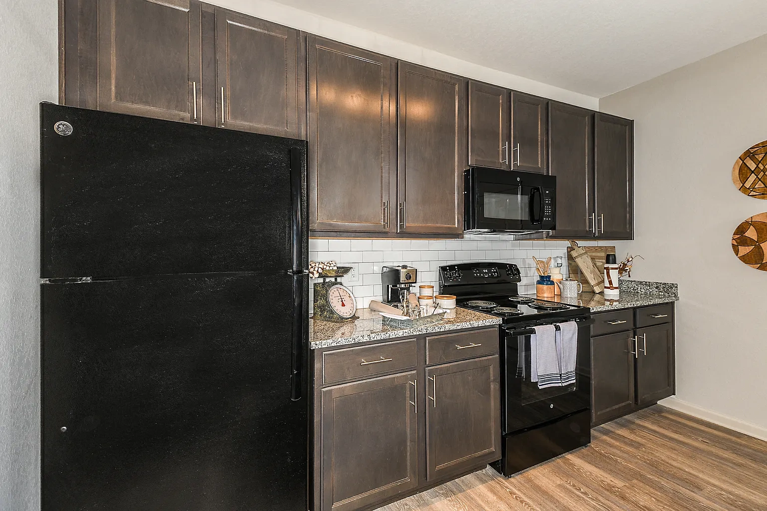 Dunedin Commons Apartments – photo 5