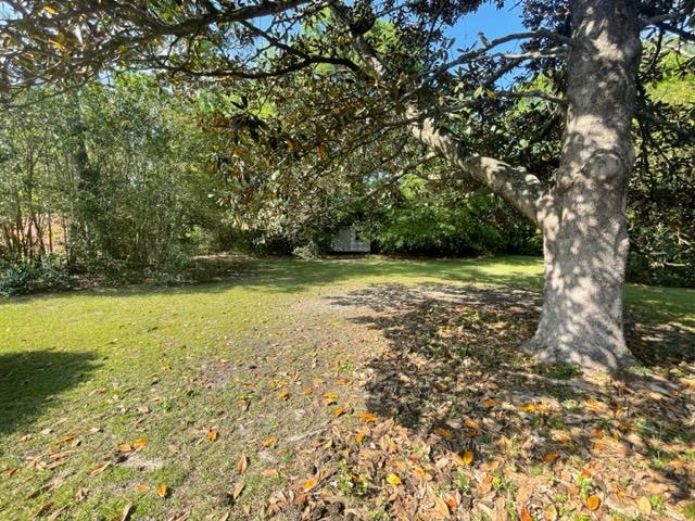 1506 Hall Way – photo 5