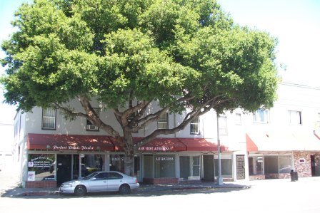 22546 Main St unit #18 – photo 1