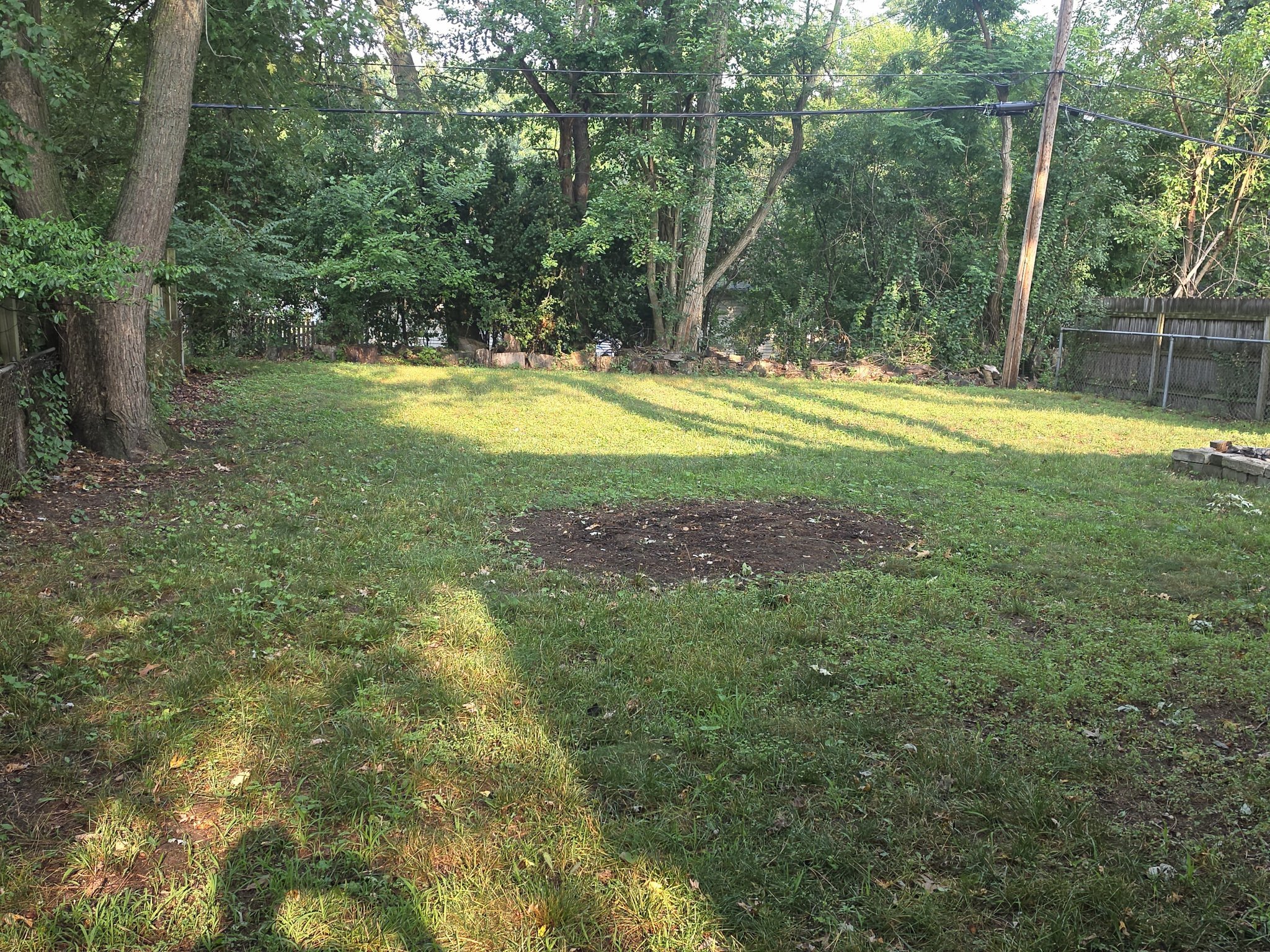 2428 Archdale Blvd – photo 2