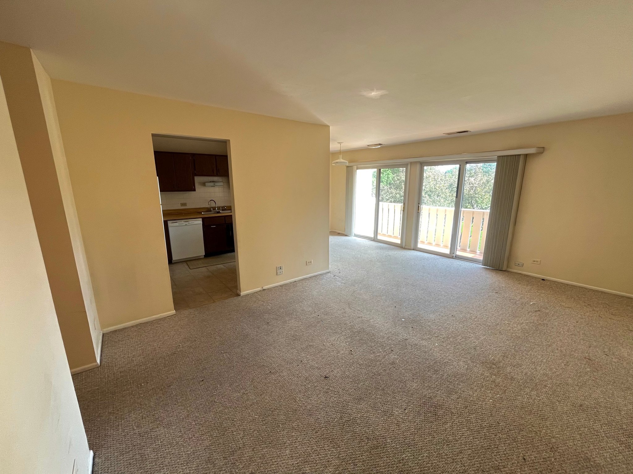 1054 Deerpath Ct unit C2 – photo 5