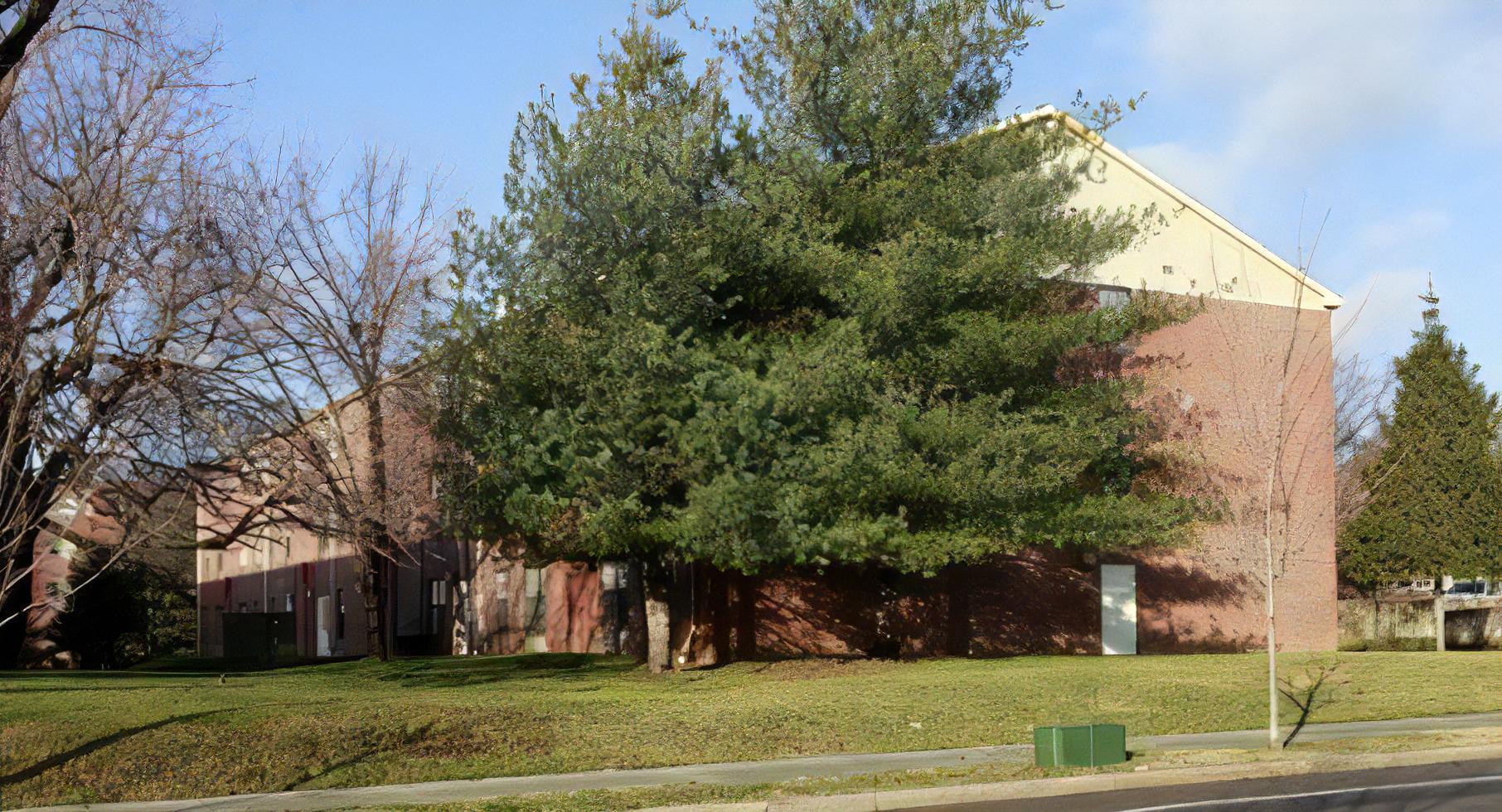 4202 13th St NW – photo 2