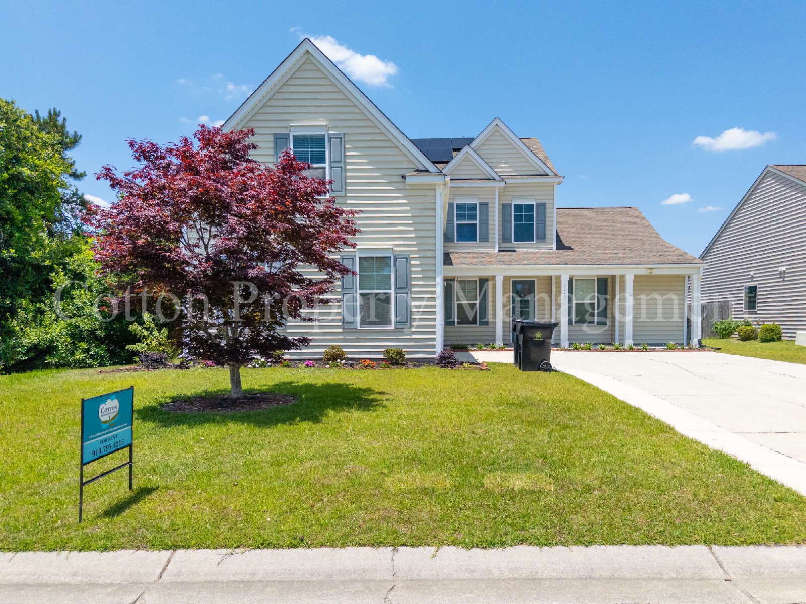7445 Darius Dr – photo 2